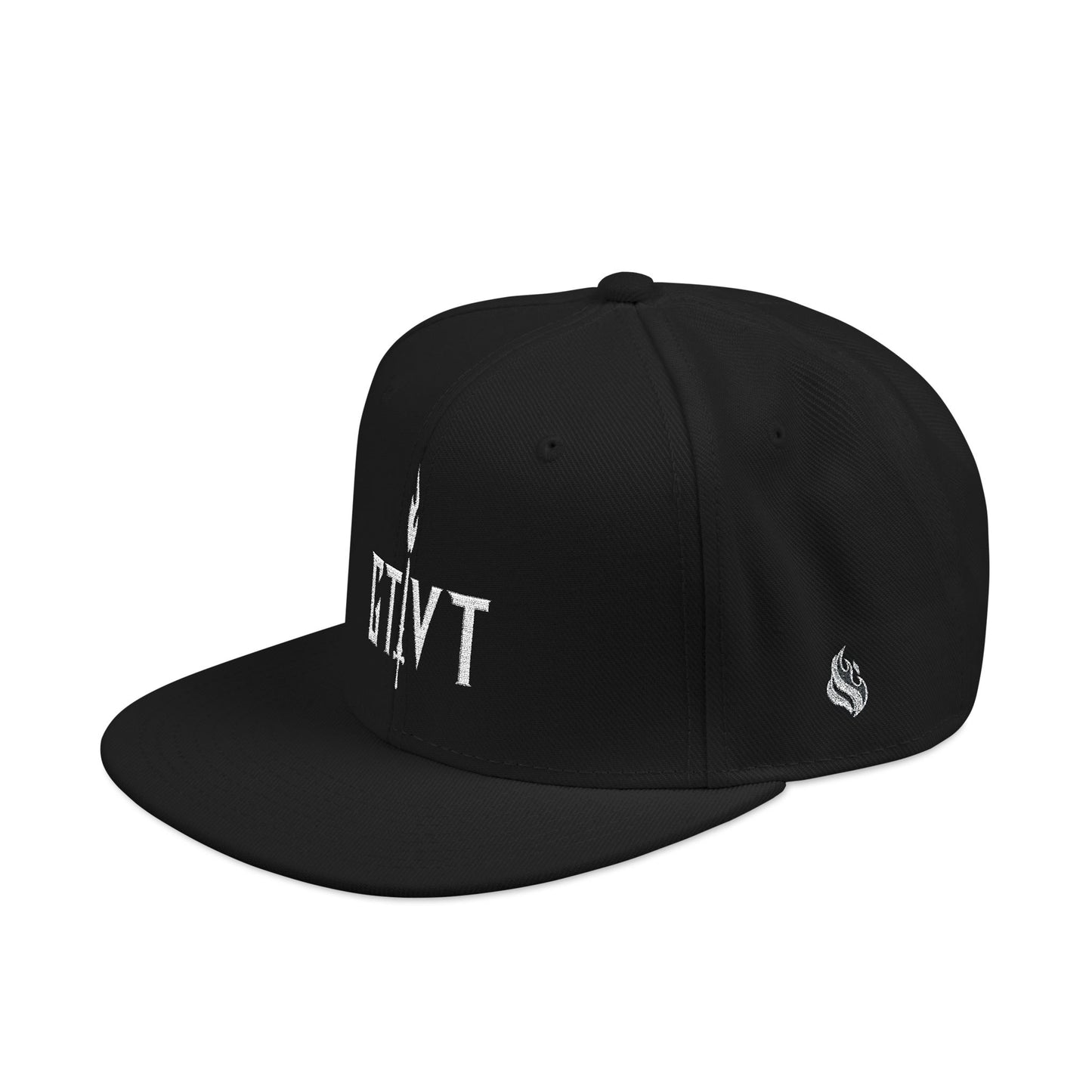 GTVT | Classic Logo Snapback | Structured High-Profile Hat