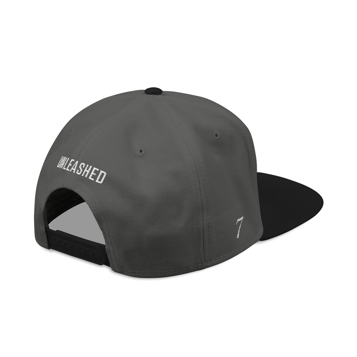 GTVT | Classic Logo Snapback | Structured High-Profile Hat