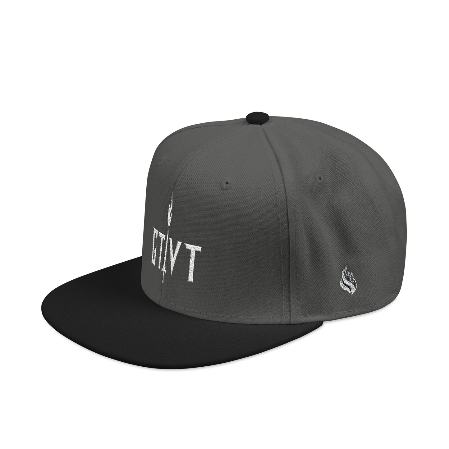 GTVT | Classic Logo Snapback | Structured High-Profile Hat