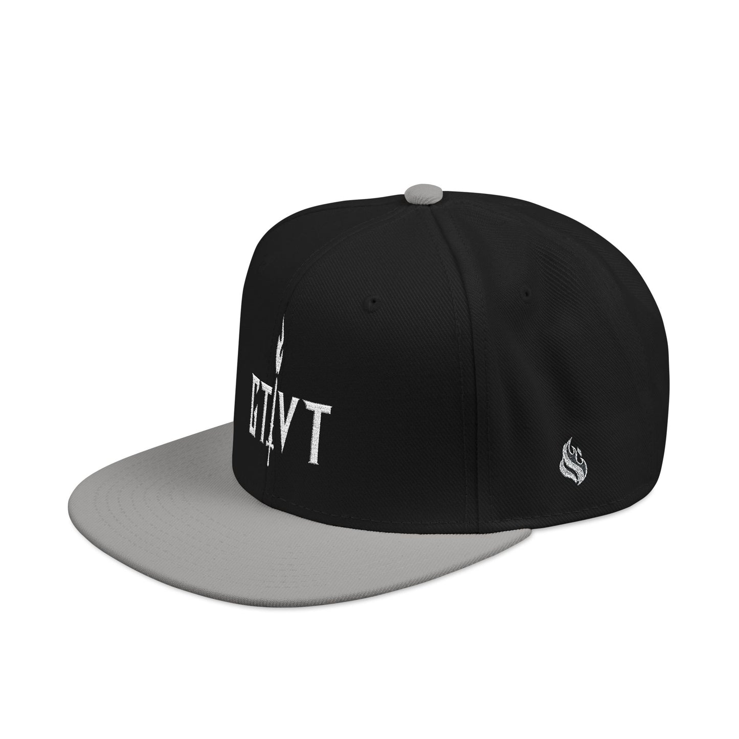 GTVT | Classic Logo Snapback | Structured High-Profile Hat